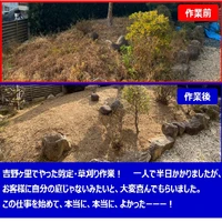 画像237