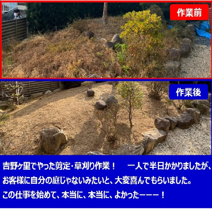 画像237