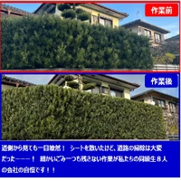 画像238