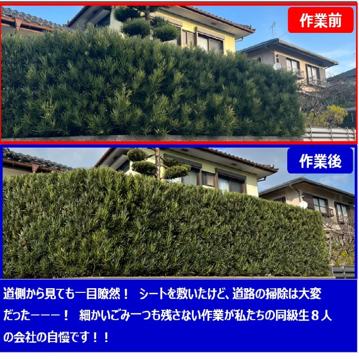 画像238