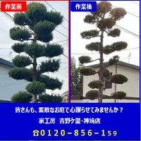 画像239