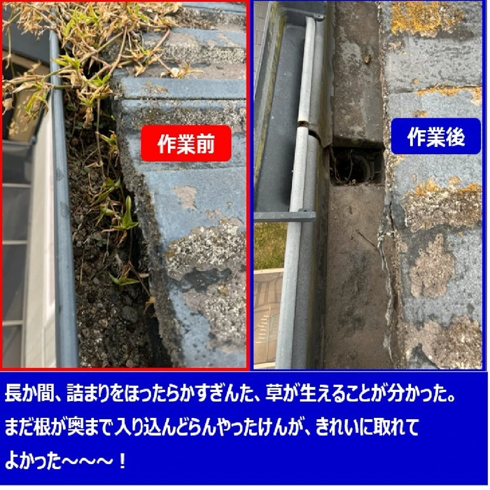 画像242