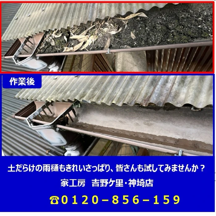 画像243