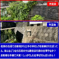 画像247