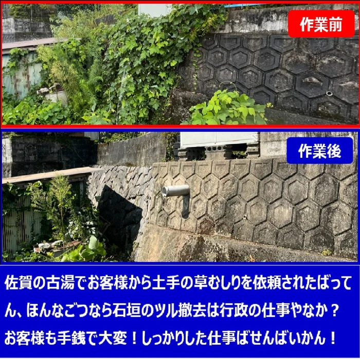 画像247