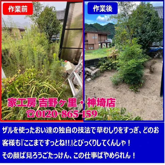 画像248