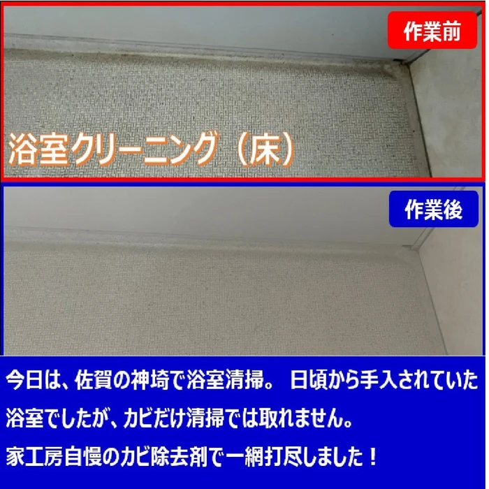 画像251