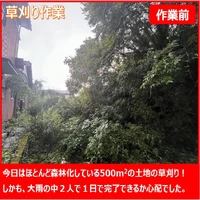 画像255