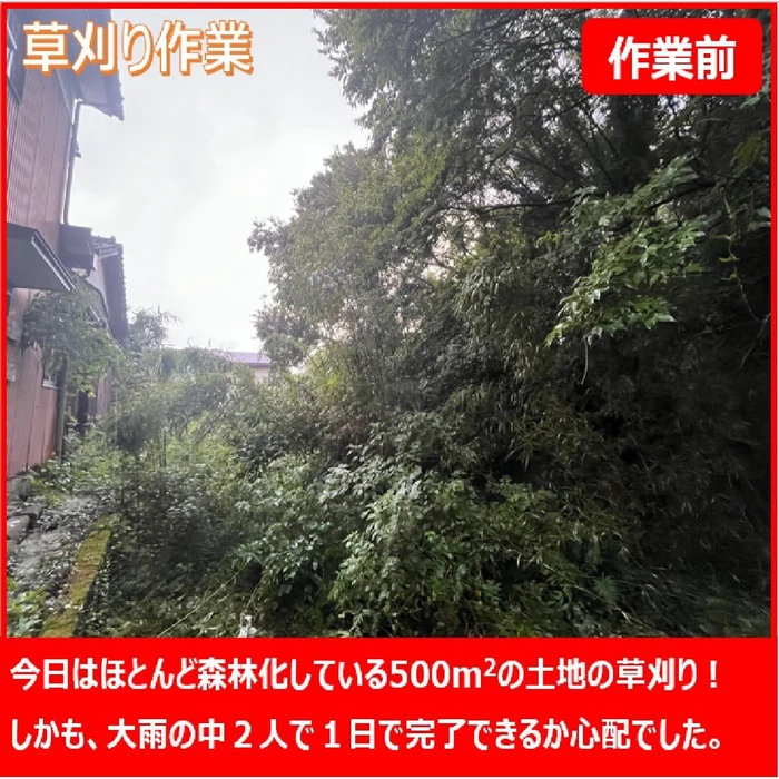 画像255
