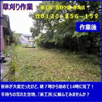画像256