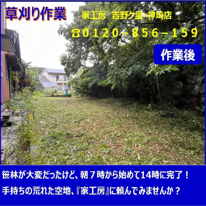 画像256