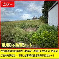 画像265