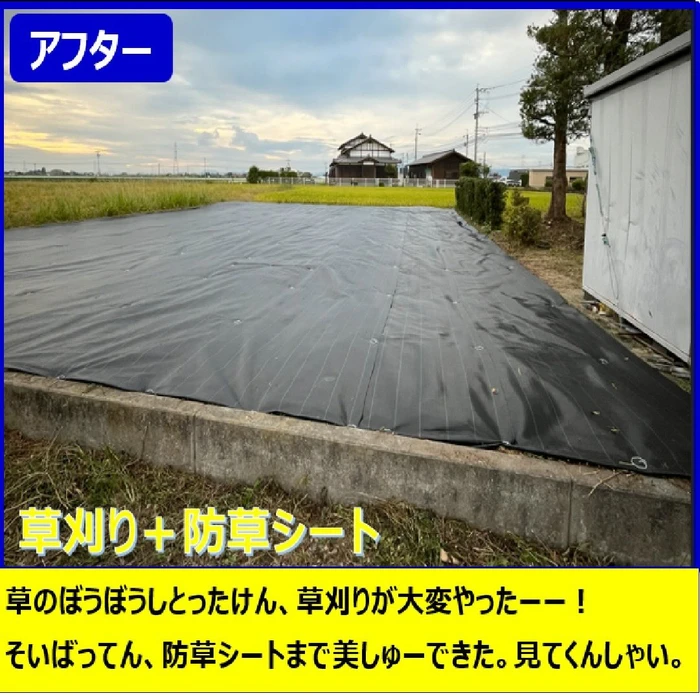 画像266