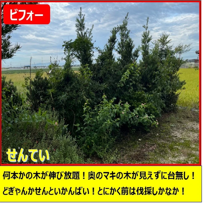 画像267