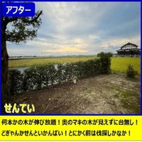 画像268
