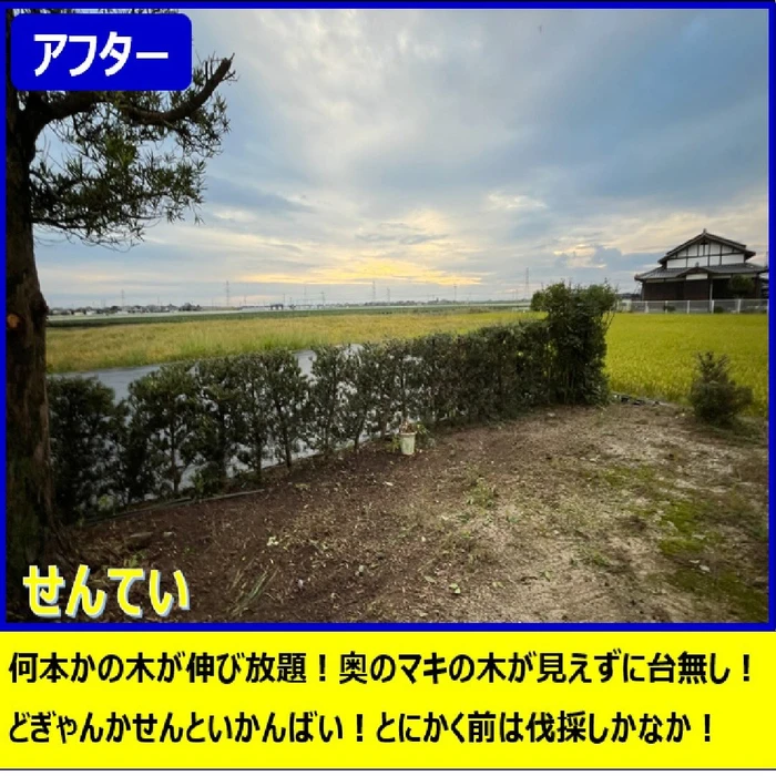 画像268