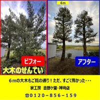 画像269