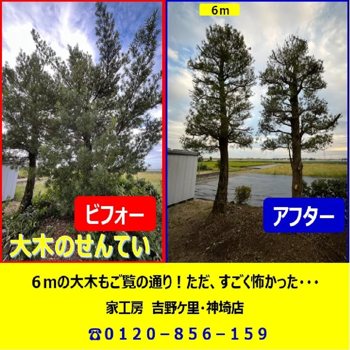 画像269