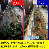 画像274