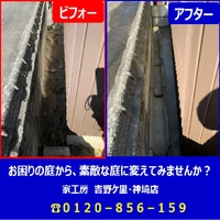 画像275