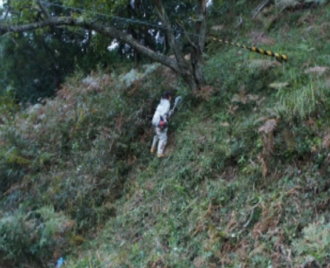 山の急斜面の草刈り
