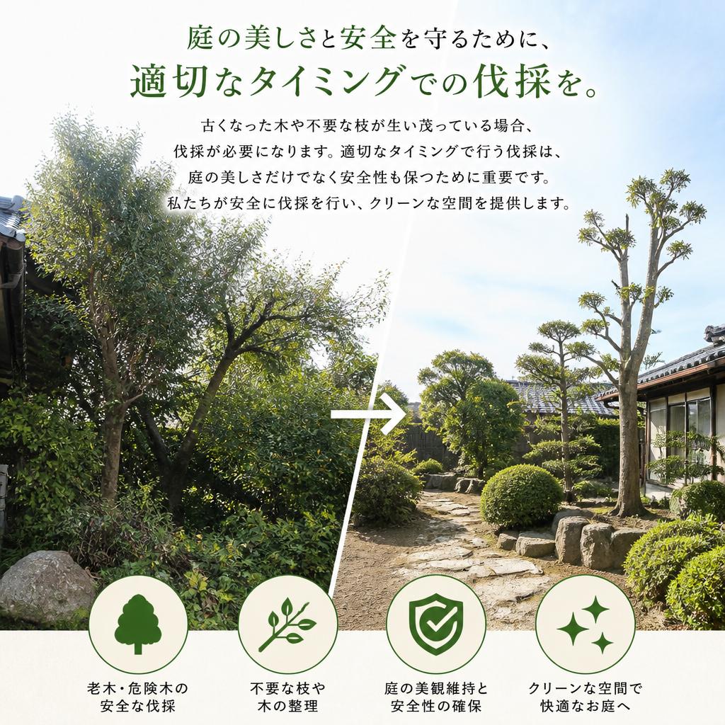 伐採の必要性とタイミング
