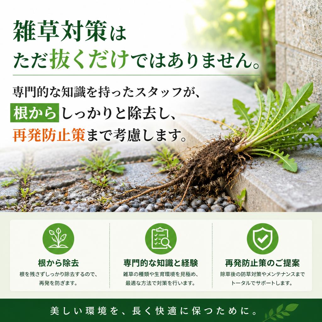 2. 雑草対策は徹底的に