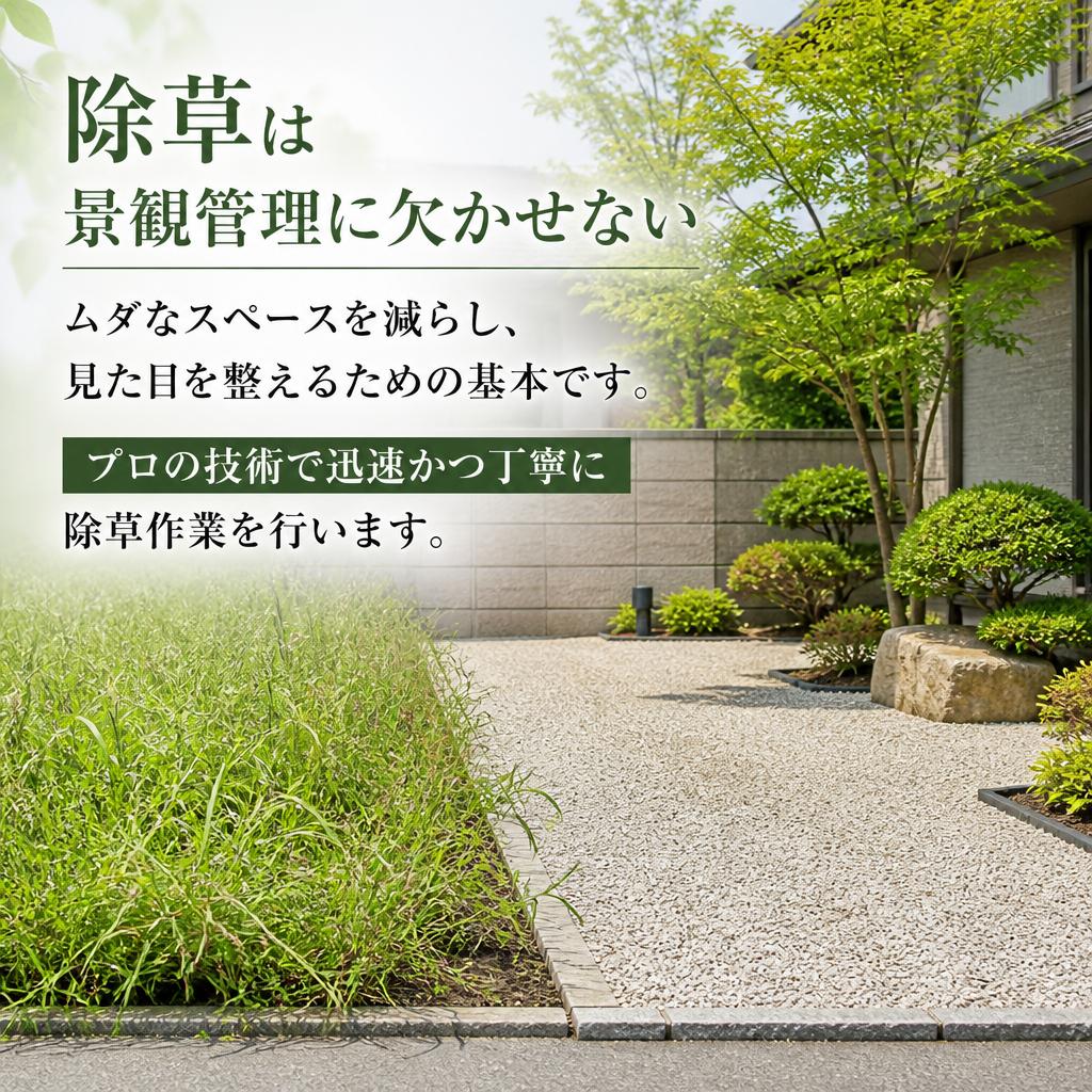 除草サービスのご紹介