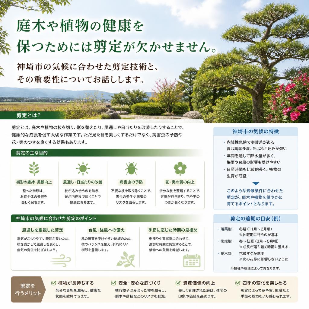 3. 剪定の重要性と技術