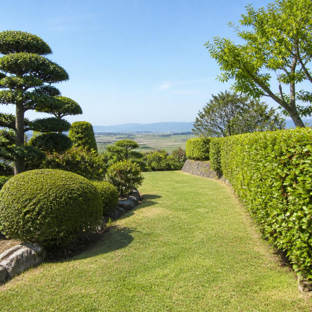 草刈りと剪定で整える佐賀の緑、さっぱりとした空間を提供します