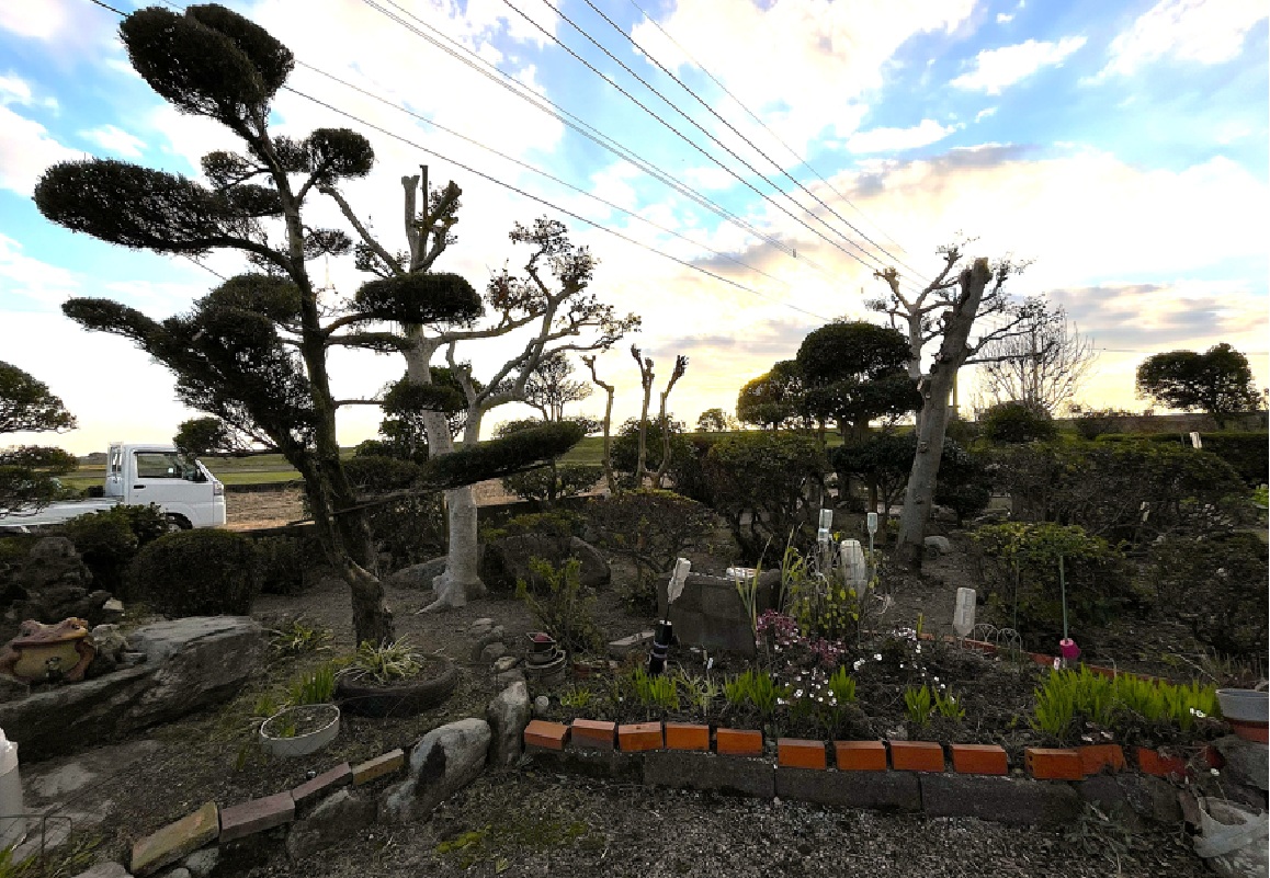 4. お客様の声