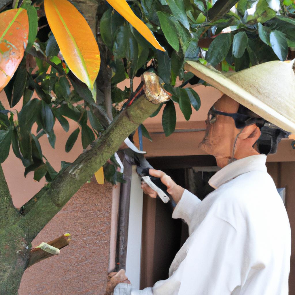 佐賀市の便利屋があなたの庭を美しく！