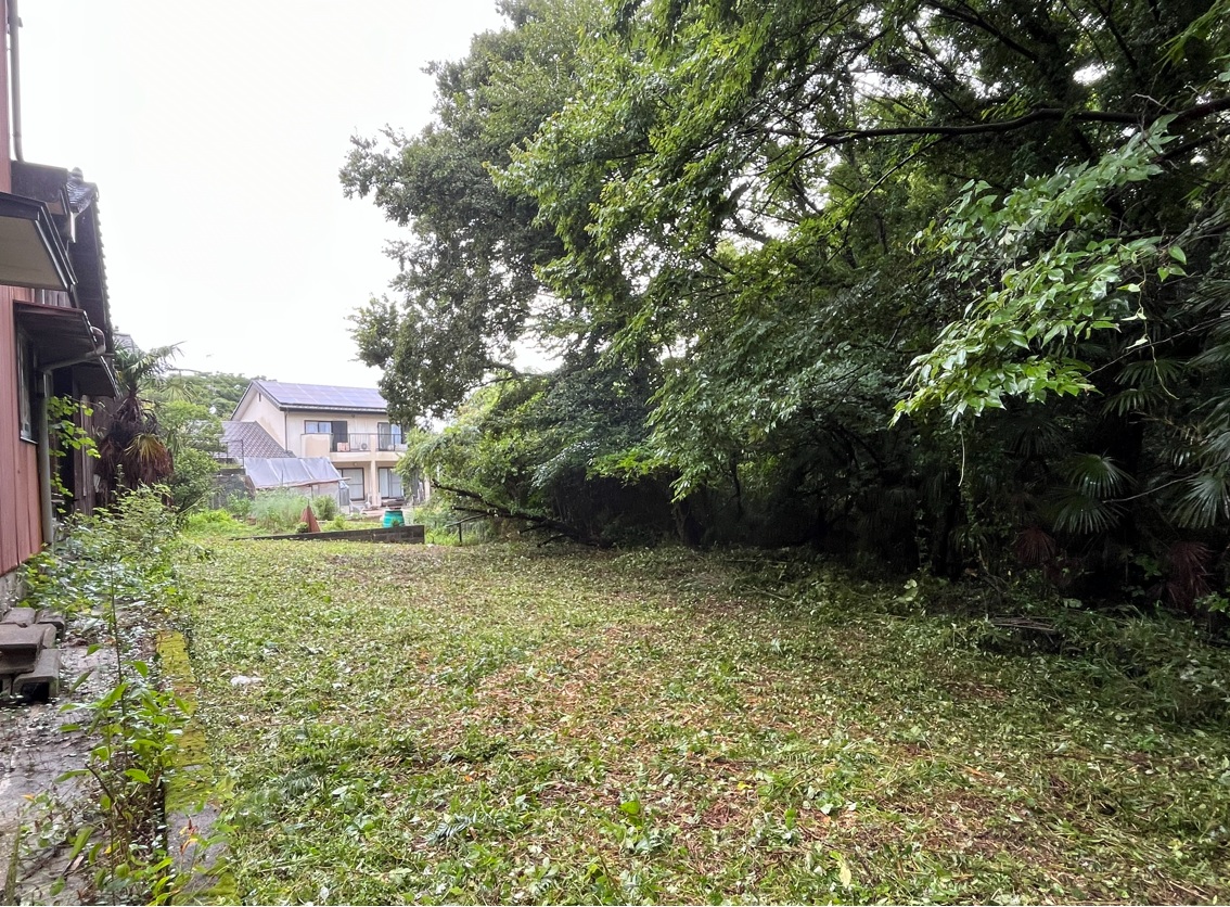 除草剤の使い方と注意点