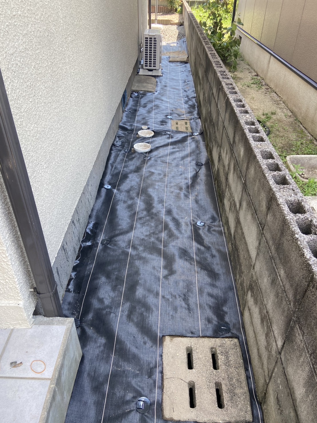 4. 草取りの方法とコツ