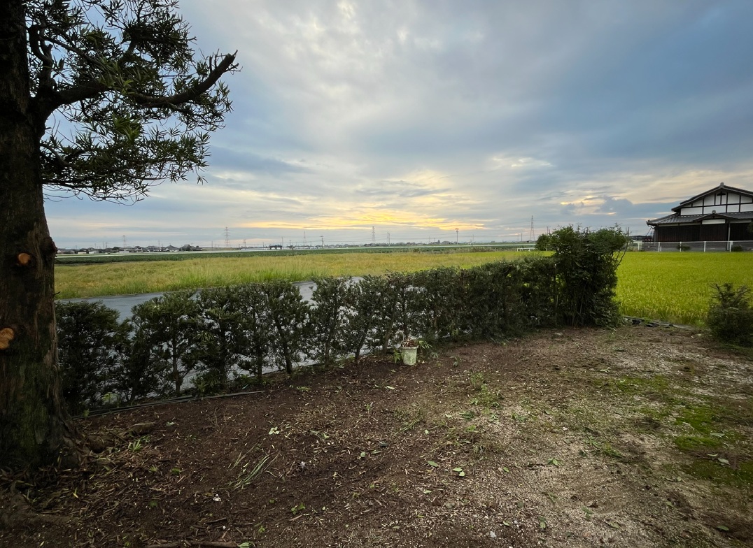 美しさを育む庭、心を癒す空間｜みやき町の植木伐採ならお任せ！